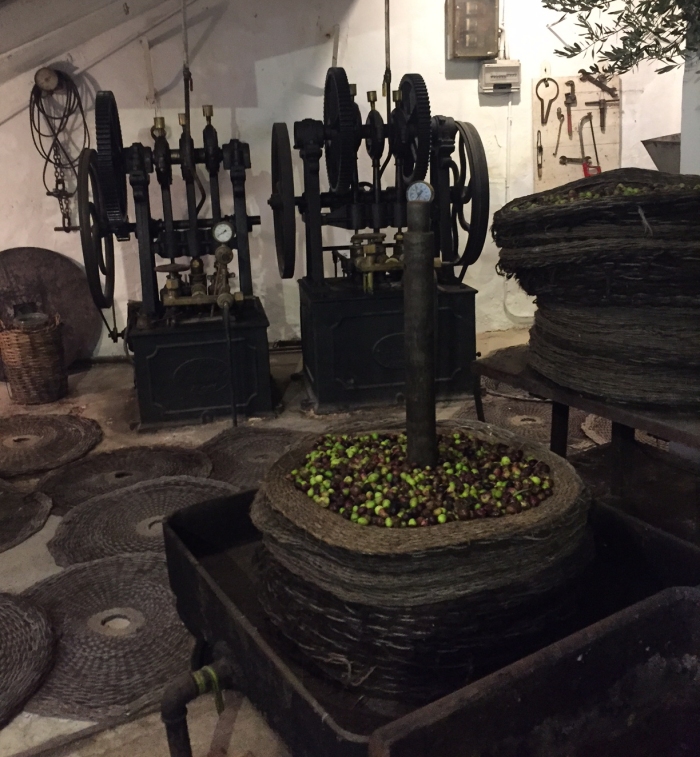 В музее оливкового масла