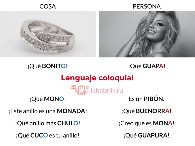 Слова cuco, chulo, mono, pibón... – это разговорные аналоги слов ...