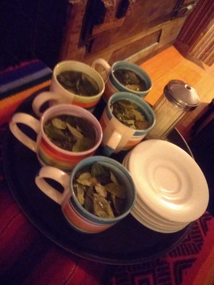 Чай из листьев коки