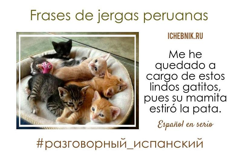 Frases de jergas peruanas